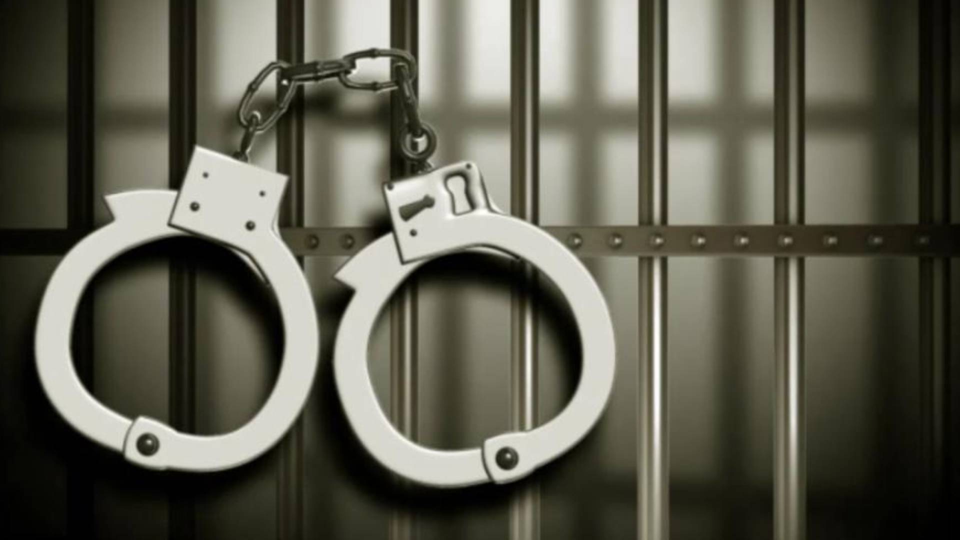 Leopard Skin Seized in Nayagarh; Mother-Son Duo Arrested