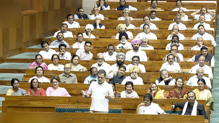 Allahabad HC Orders Probe in Rahul Gandhi Dual Citizenship Row