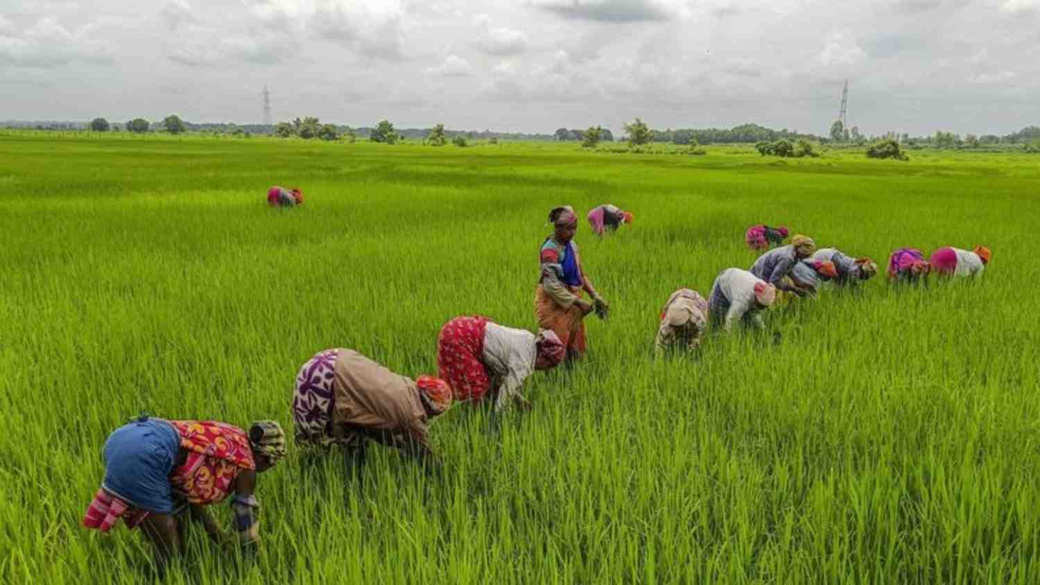 Over 41 Lakh Farmers to Receive CM-Kisan Assistance Today