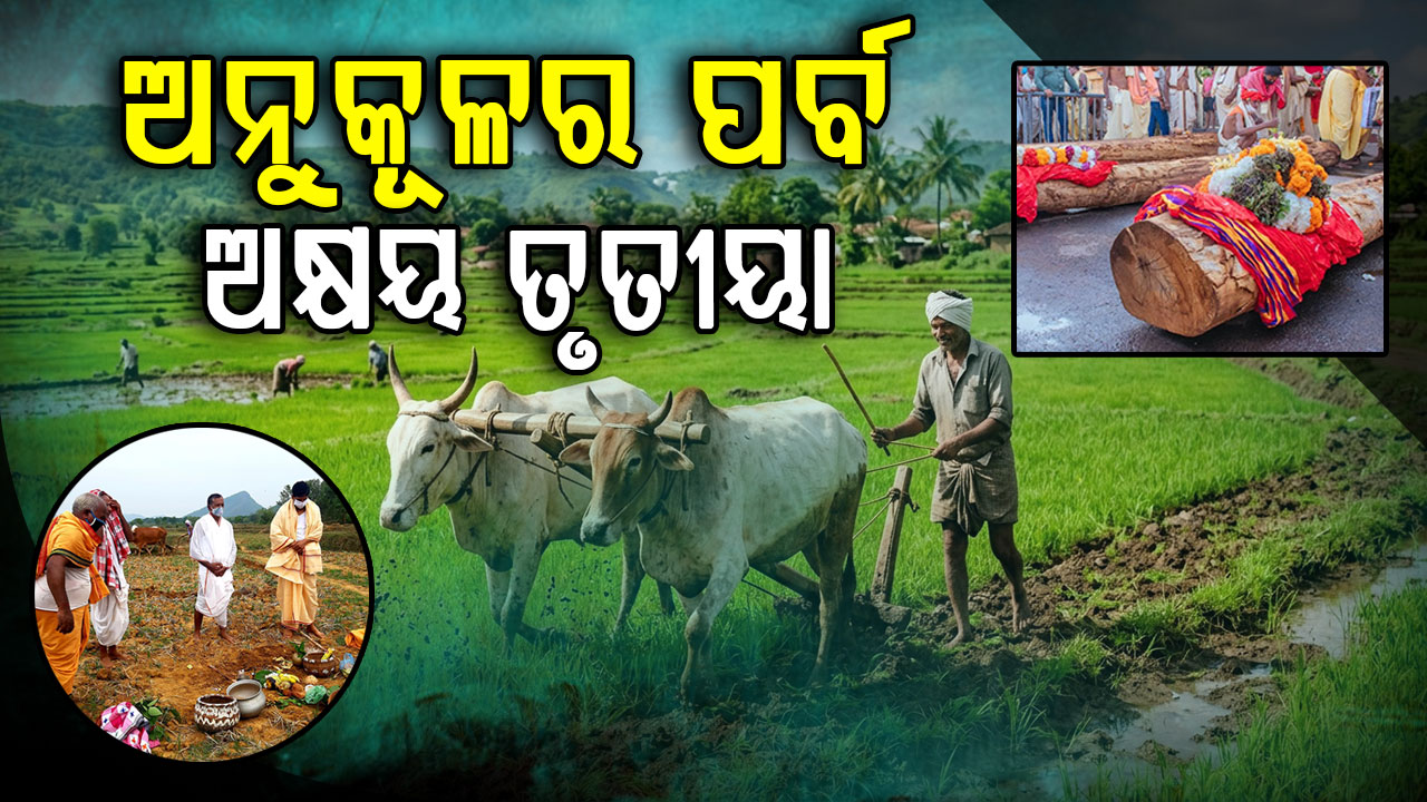 ଆଜି ପବିତ୍ର ଅକ୍ଷୟ ତୃତୀୟା; କ୍ଷେତରେ ଅକ୍ଷିମୁଠି ଓ ଶ୍ରୀମନ୍ଦିରରେ ରଥକାଠ ଅନୁକୂଳ