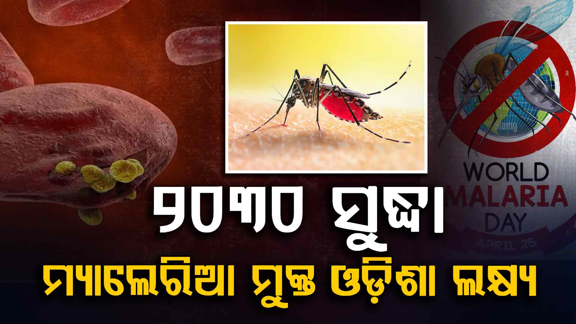 ଆଜି ବିଶ୍ୱ ମ୍ୟାଲେରିଆ ଦିବସ; ରାଜ୍ୟରେ ବଢୁଛି ସଂକ୍ରମଣ; ରାୟଗଡ଼ାରେ ସର୍ବାଧିକ