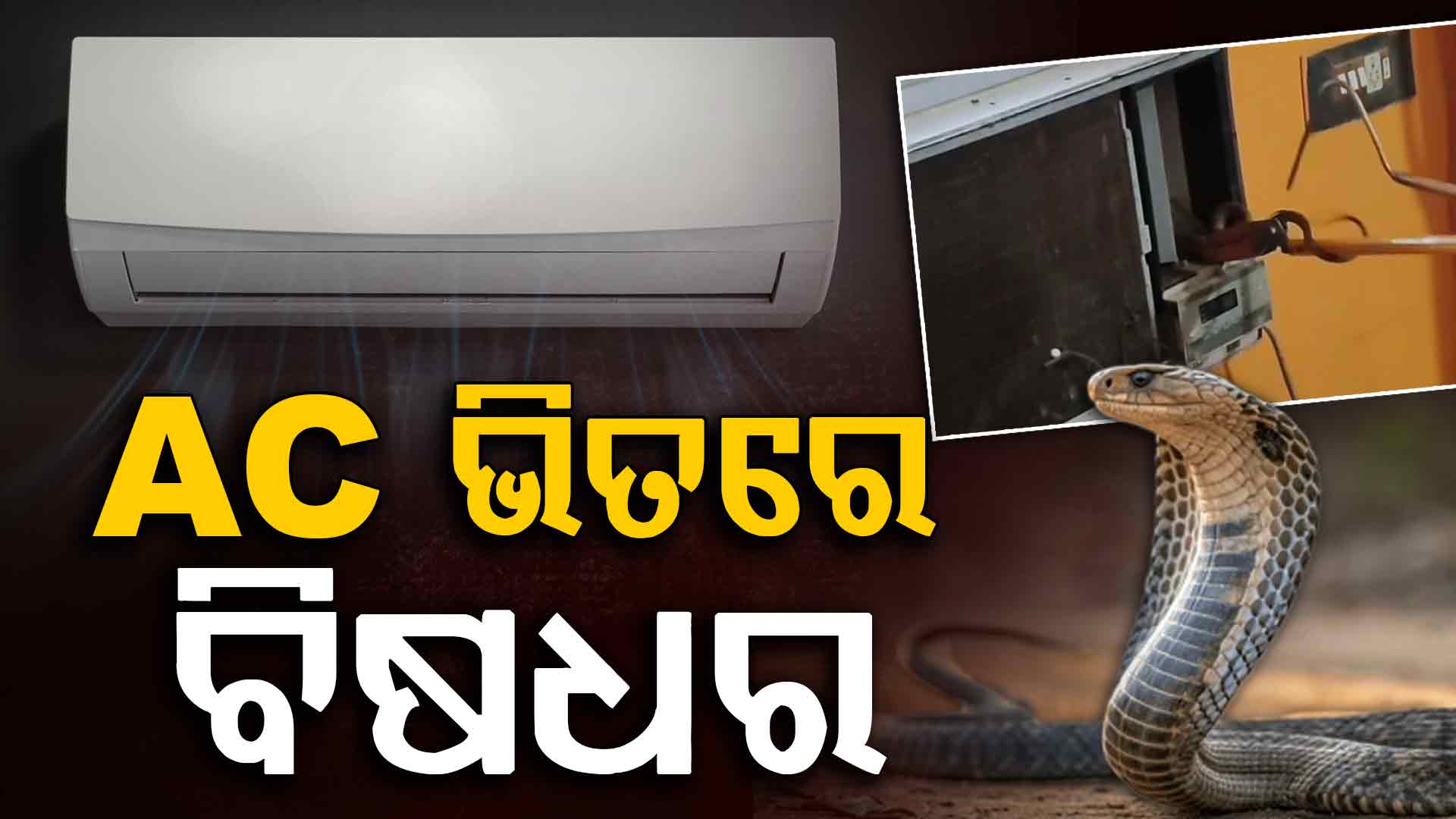 AC ଭିତରୁ ମୁଣ୍ଡ କାଢିଲା ସାପ; ଘରେ ଏସି ଲଗାଇ ଶୋଉଥିଲେ ହୋଇଯାଆନ୍ତୁ ସାବଧାନ