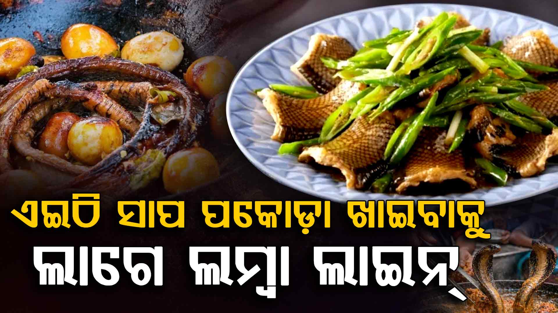 ଏଠାରେ ଜୀବନ୍ତ ସାପକୁ କରାଯାଏ ପକୋଡ଼ା; ଲୋକମାନେ ଖାଇବା ପାଇଁ ଲଗାନ୍ତି ଲମ୍ଵା ଲାଇନ୍