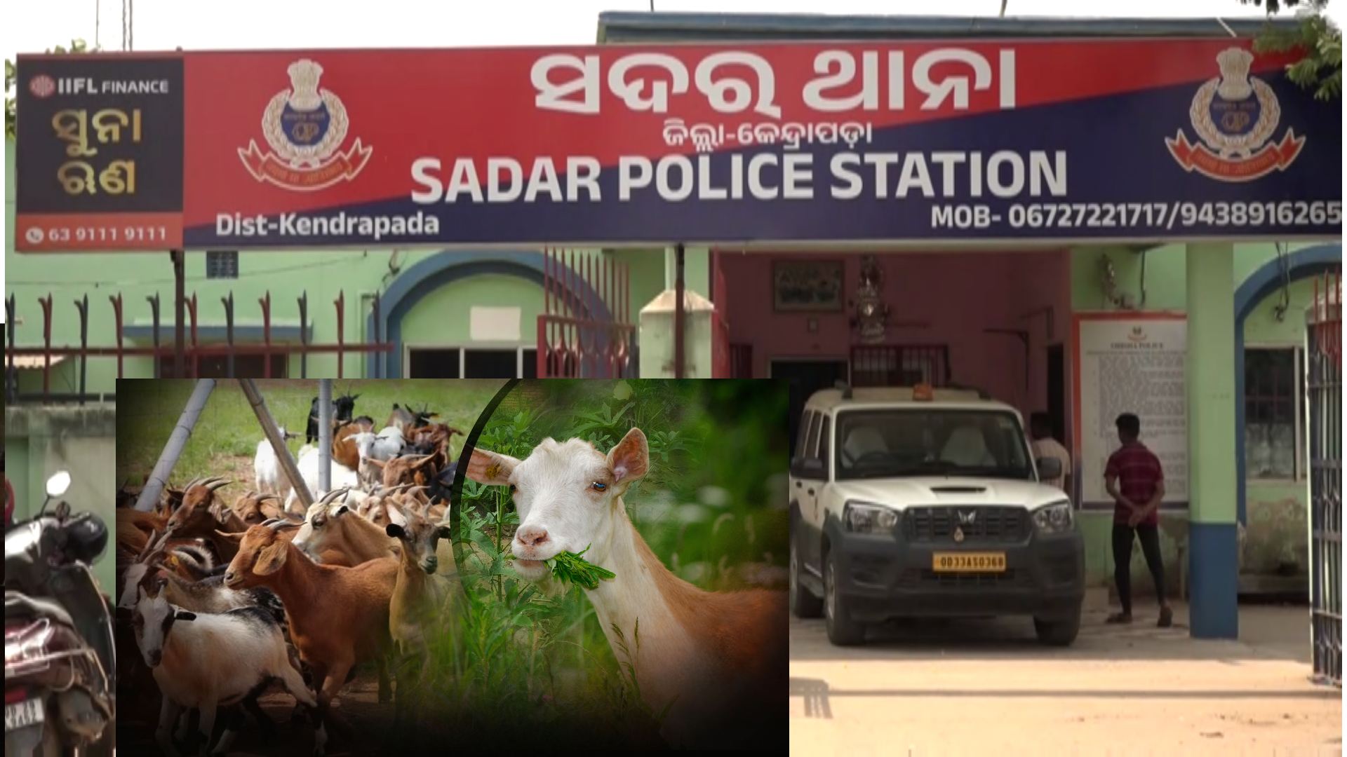 Kendrapara Shock: 10 Goats Poisoned to Death Over Crop Dispute