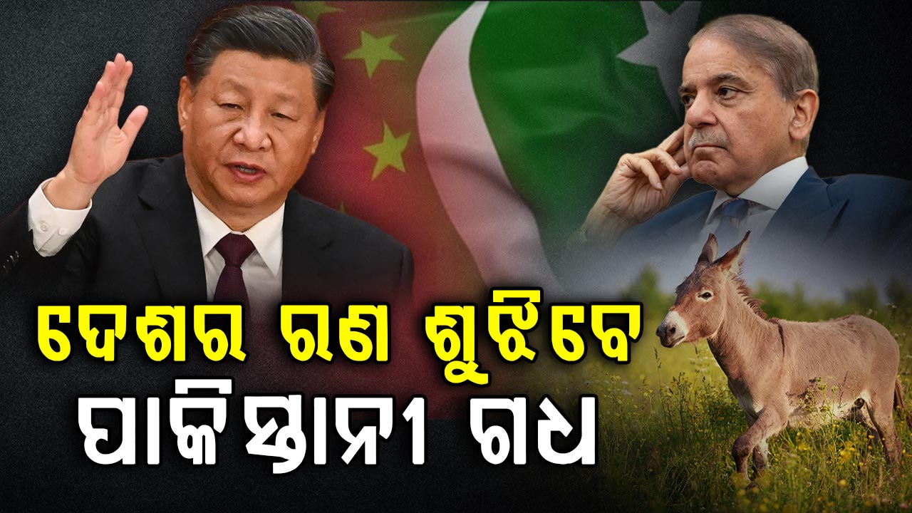 ପାକିସ୍ତାନ ସରକାରଙ୍କ ନିଷ୍ପତ୍ତି; ବିଦେଶୀ ଋଣ ଶୁଝିବେ ଗଧ! 