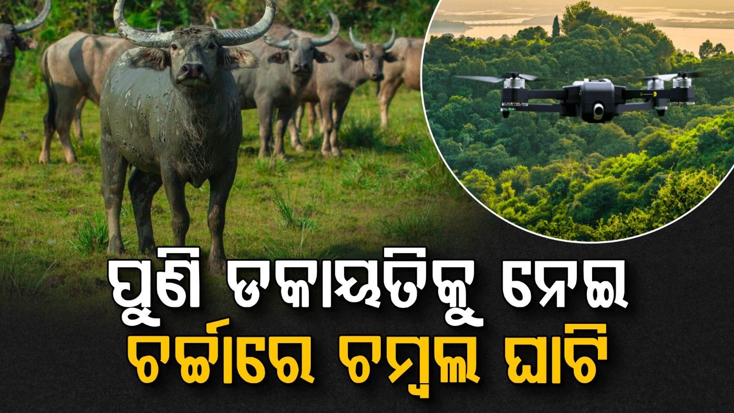 ବନ୍ଧୁକ ମୁନରେ ଲୁଟିଲେ ୬୦ ମଇଁଷି, ମାଡ଼ି ବସିଲା ଡ୍ରୋନ୍ କ୍ୟାମେରା