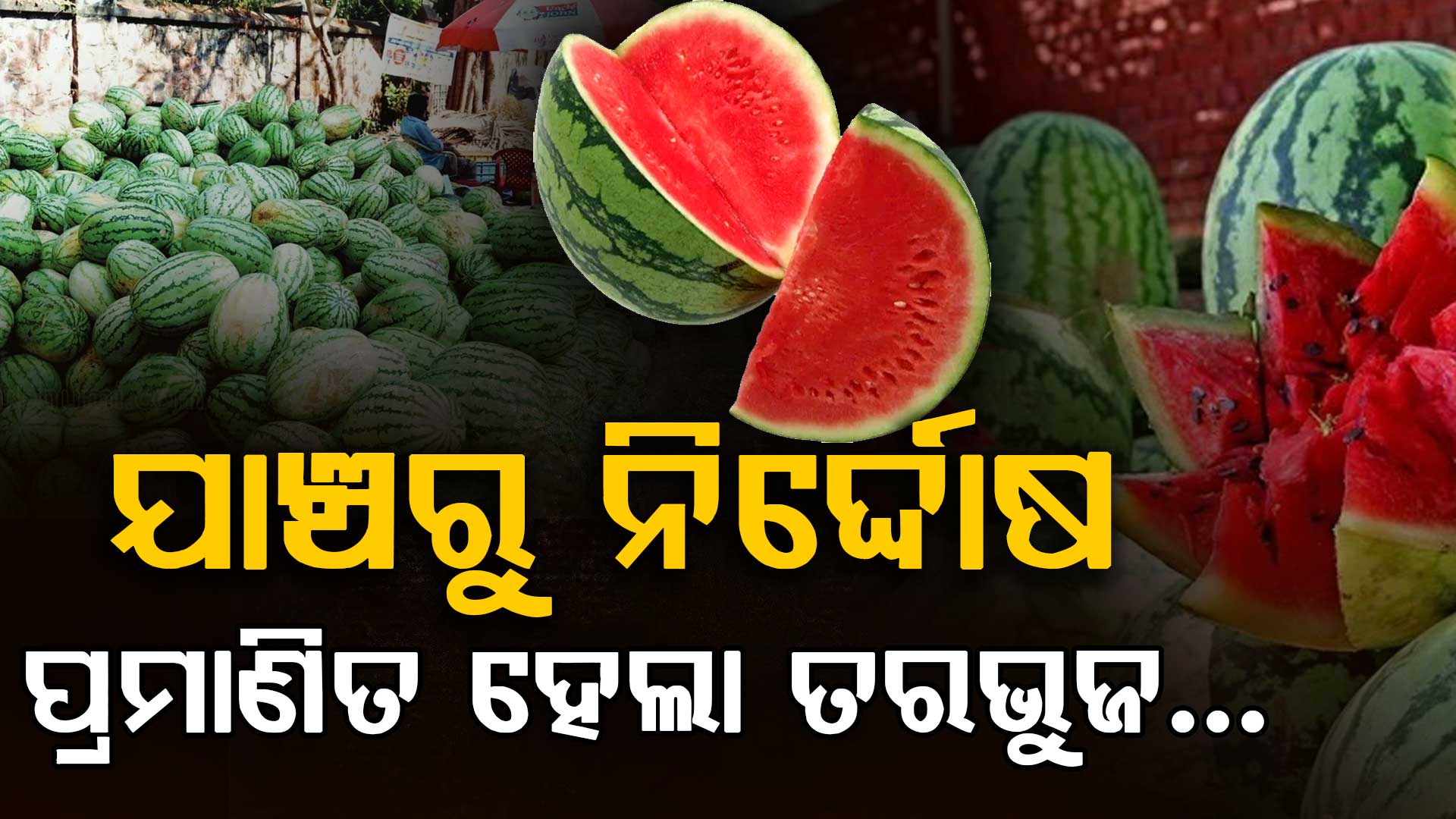 ଯାଞ୍ଚ ପରେ ନିର୍ଦ୍ଦୋଷ ବାହାରିଲା ତରଭୁଜ; ହେଲେ ମୃତ୍ୟୁ ଖବର ପରେ ବଜାରରେ ଖସିଲା ଦାମ