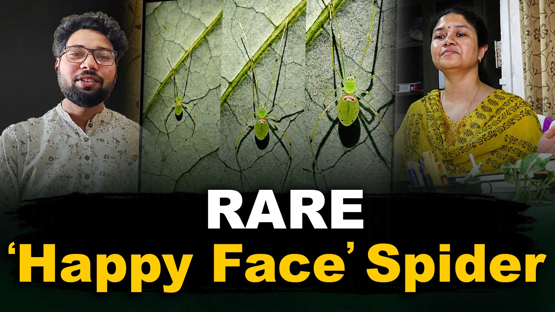 Odisha Scientists Discover Rare ‘Happy-Face’ Spider in Himalayas After 125 Years