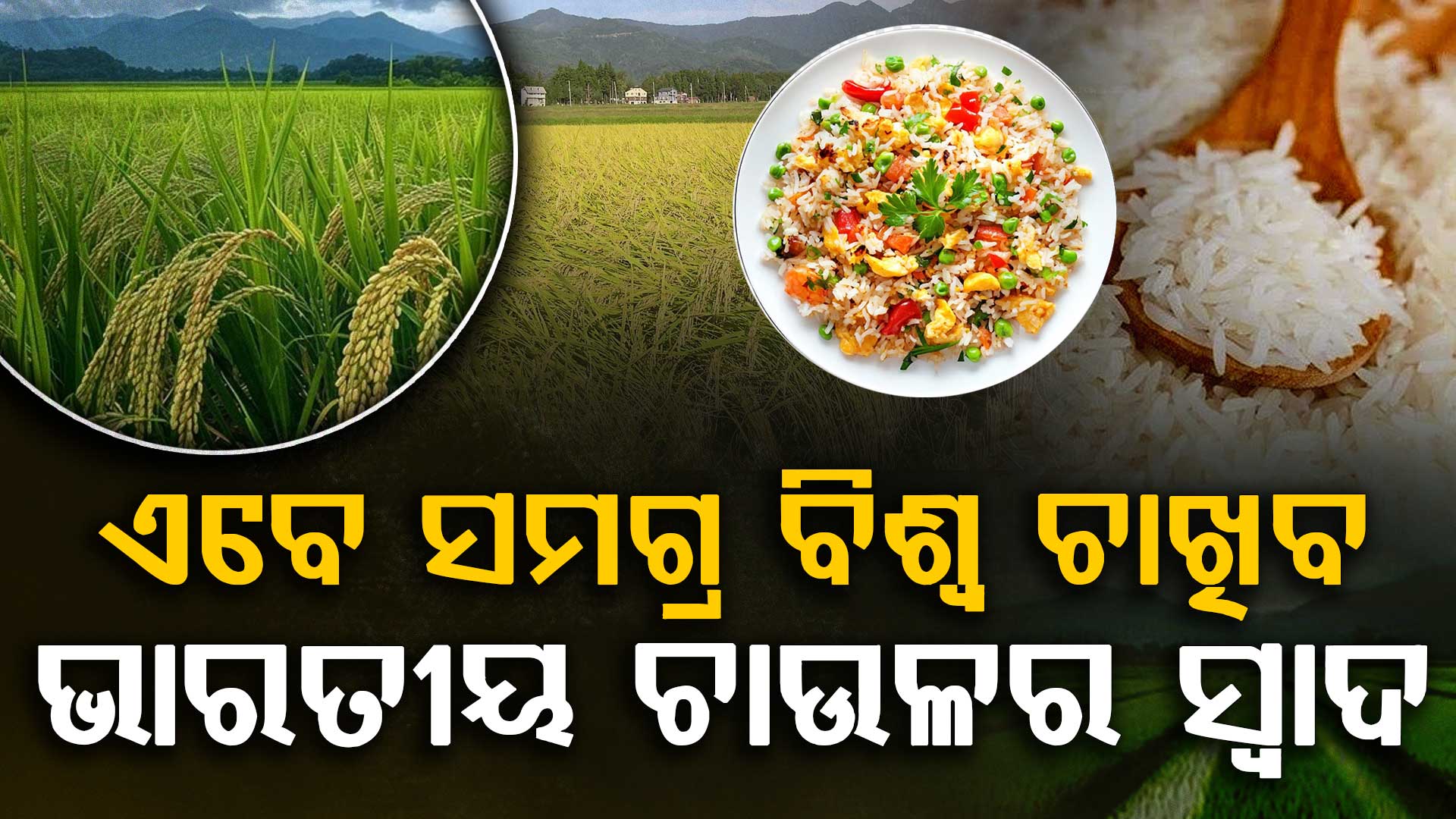 ଏବେ ସମଗ୍ର ବିଶ୍ୱ ଖାଇବ ଭାରତୀୟ ଚାଉଳ; ଉତ୍ପାଦନରେ ପଛରେ ପଡିଗଲା ଚୀନ୍