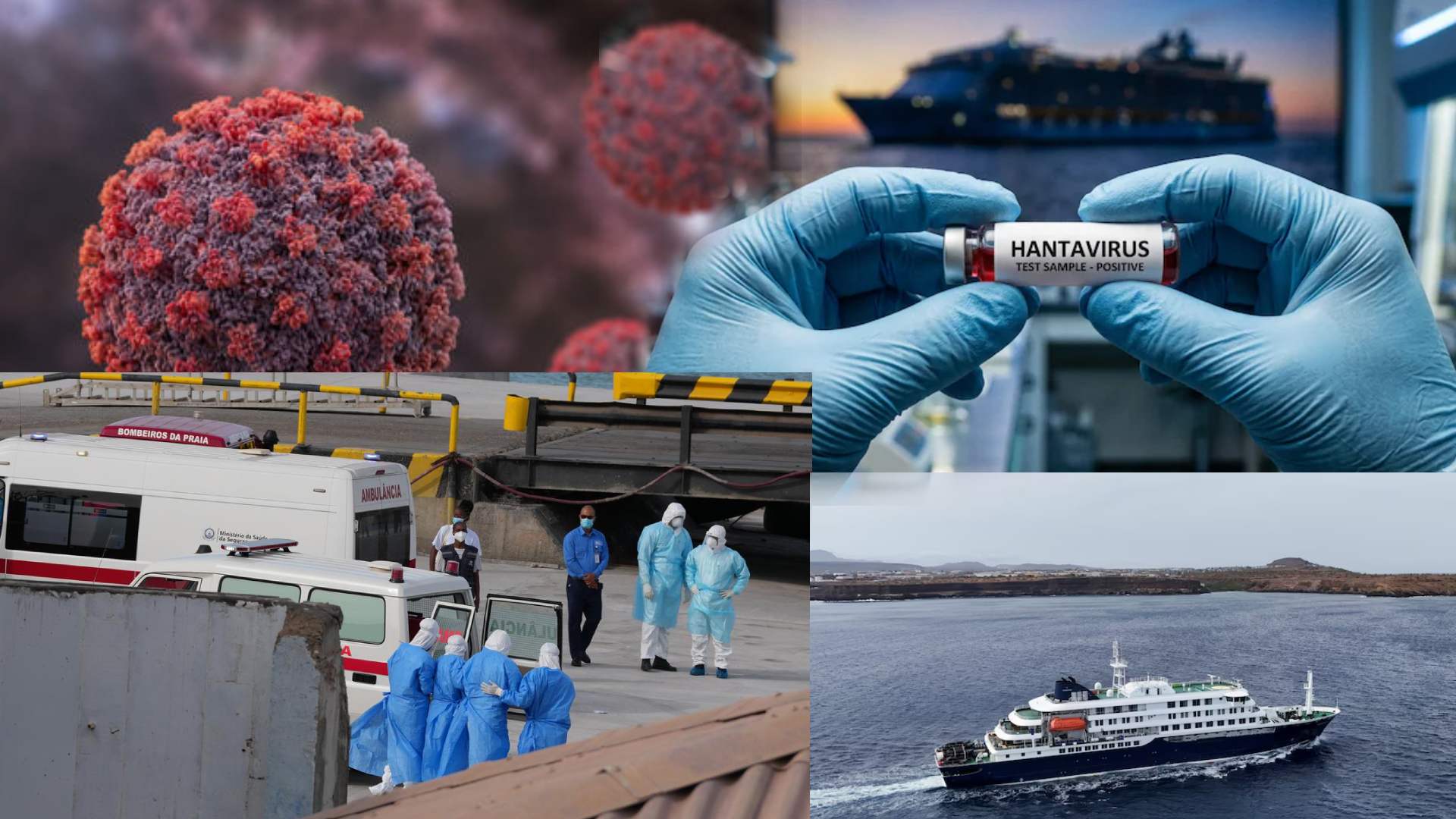 Govt Activates Surveillance After Hantavirus Outbreak on Cruise Ship