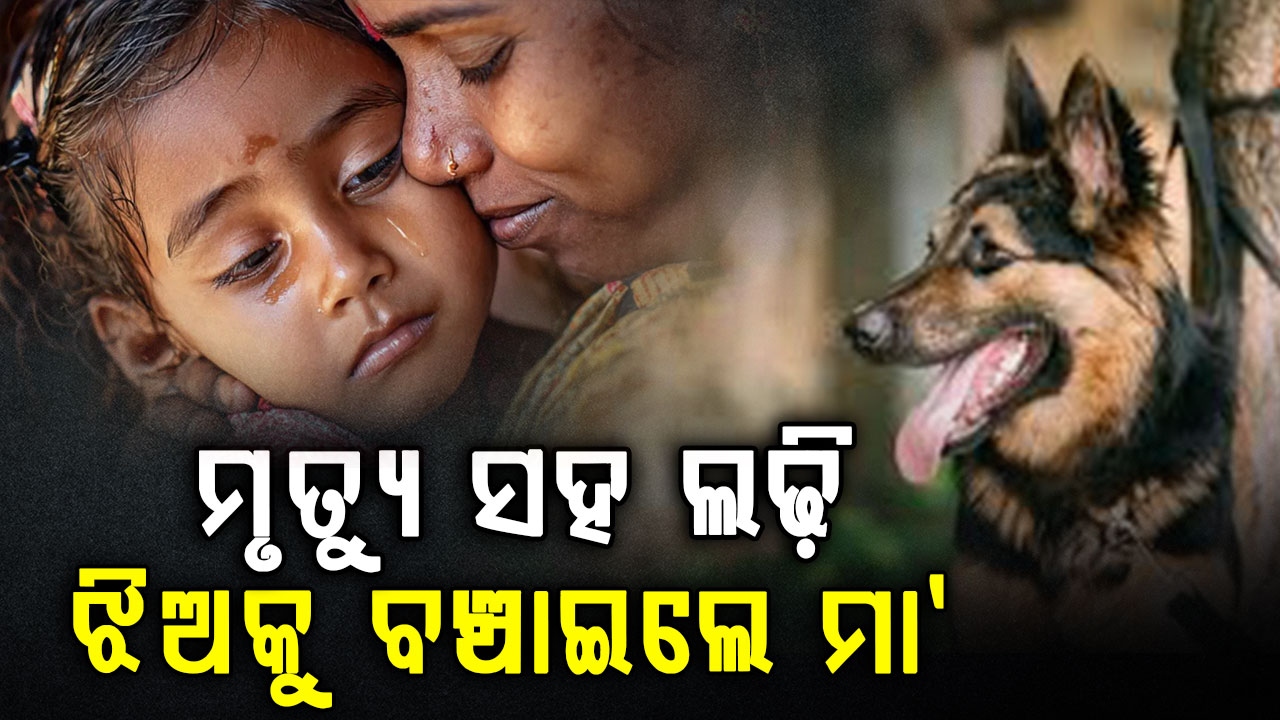କୁକୁର ମୁହଁରୁ ଝିଅକୁ ଛଡ଼ାଇ ଆଣିଲା ମା' 