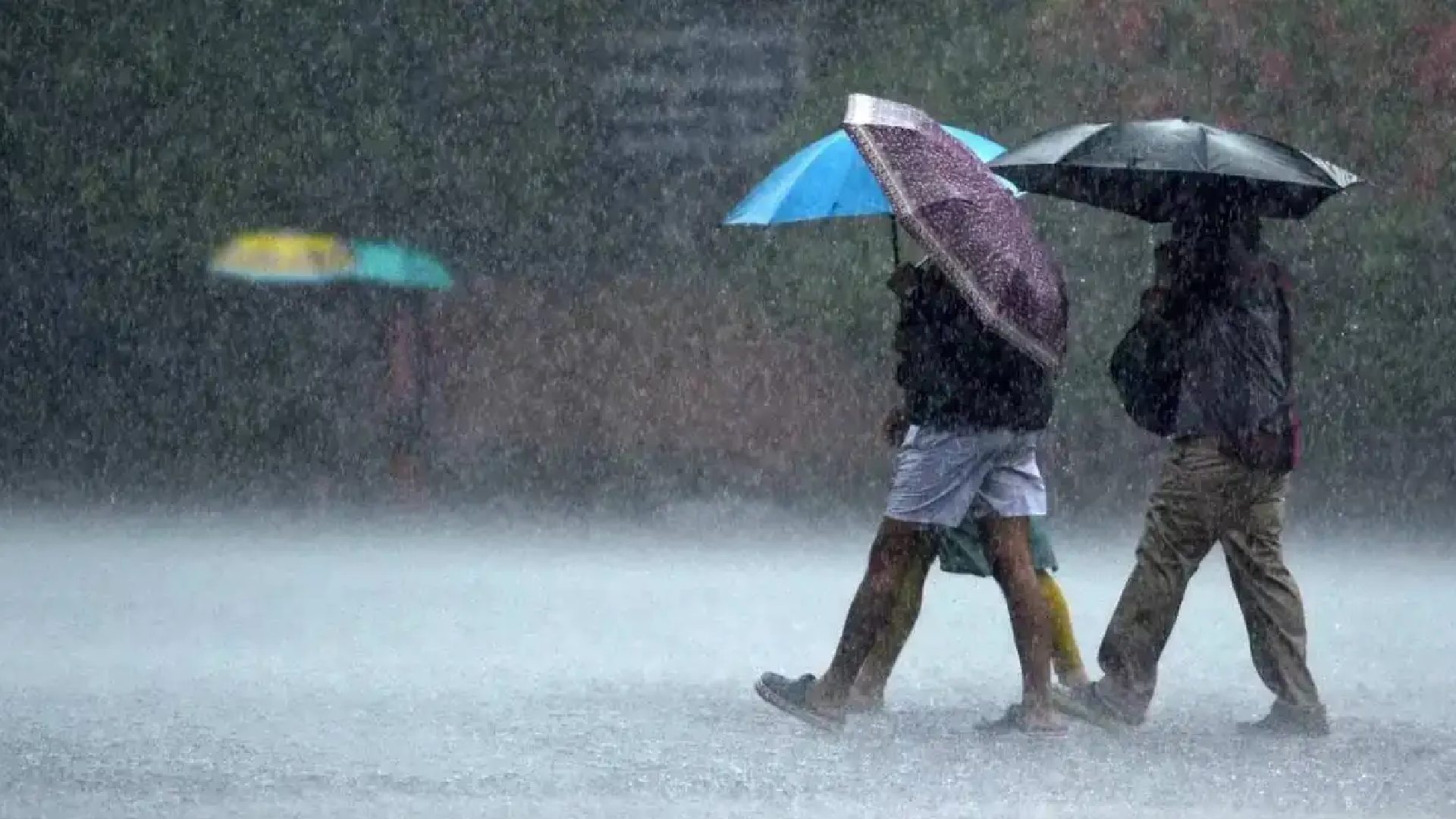 Southwest Monsoon to Arrive on Time, Says IMD