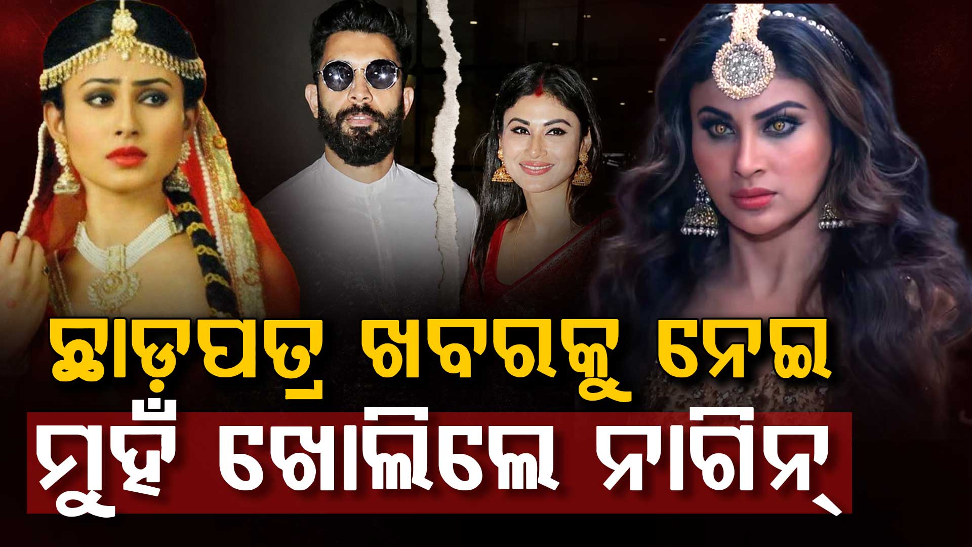 ଡିଭୋର୍ସ ଖବରକୁ ନେଇ ମୁହଁ ଖୋଲିଲେ ମୌନି: କହିଲେ, ଆମକୁ ଟିକେ ସମୟ...