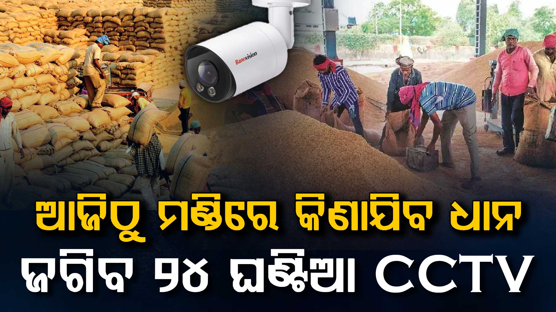 ଆଜିଠୁ 20 ଜିଲ୍ଲାରେ ରବି ଧାନ ସଂଗ୍ରହ ଆରମ୍ଭ, ଜଗିବ ୨୪ ଘଣ୍ଟିଆ CCTV