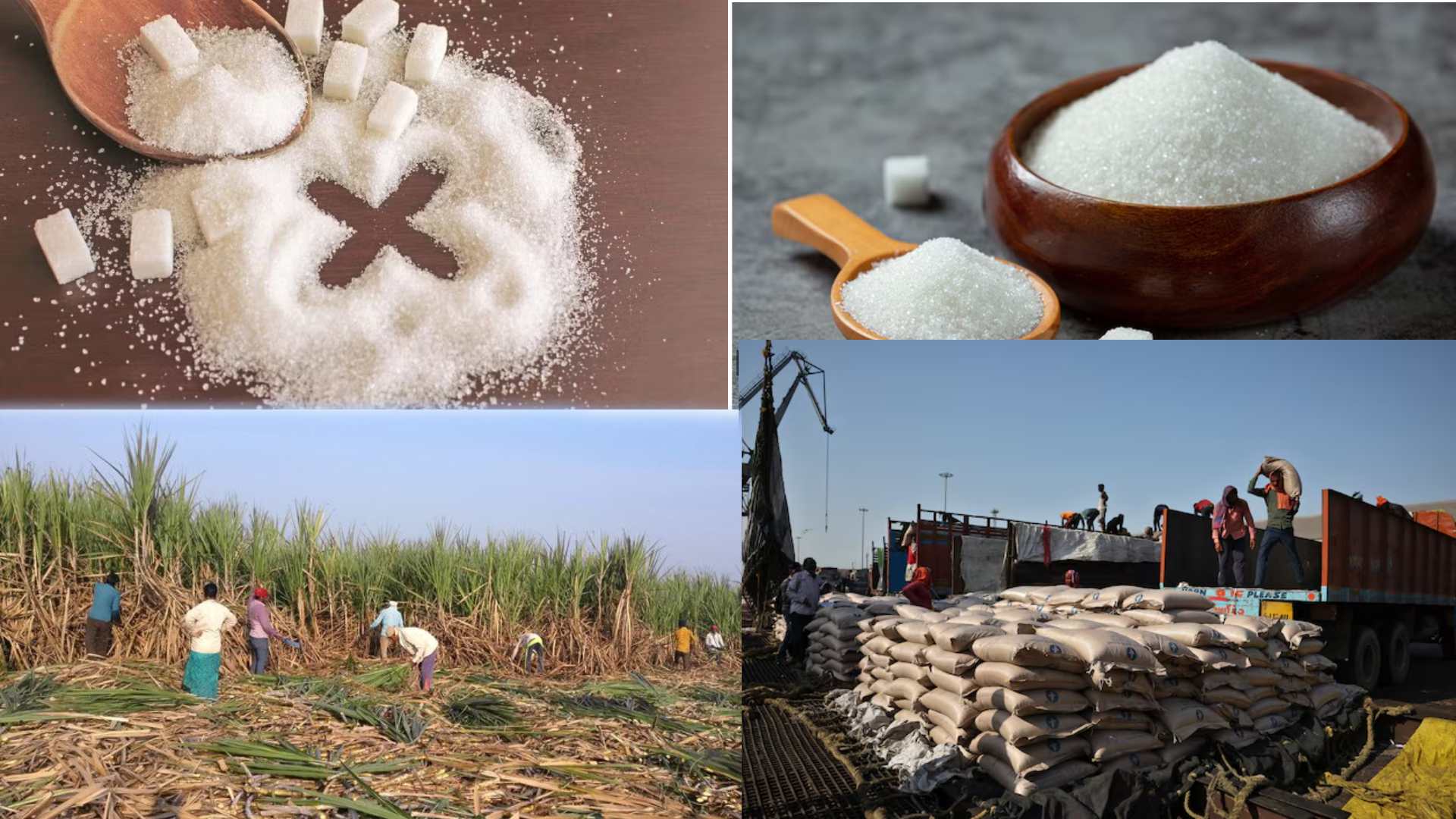 India’s Sugar Export Ban Sends Shockwaves Across Global Market, Exports Halted Till September
