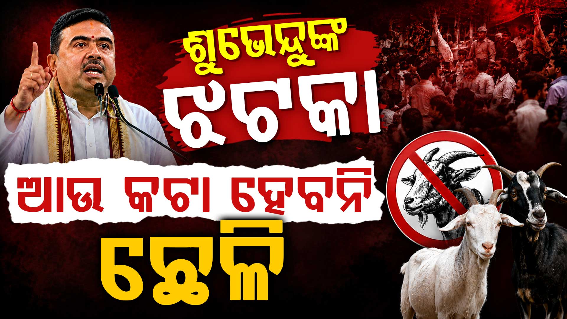ବଙ୍ଗଳାରେ ଶୁଭେନ୍ଦୁଙ୍କ କଡ଼ା ଆଦେଶ: ଫିଟନେସ୍ ସାର୍ଟିଫିକେଟ୍ ବିନା ବଳି ନାହିଁ 