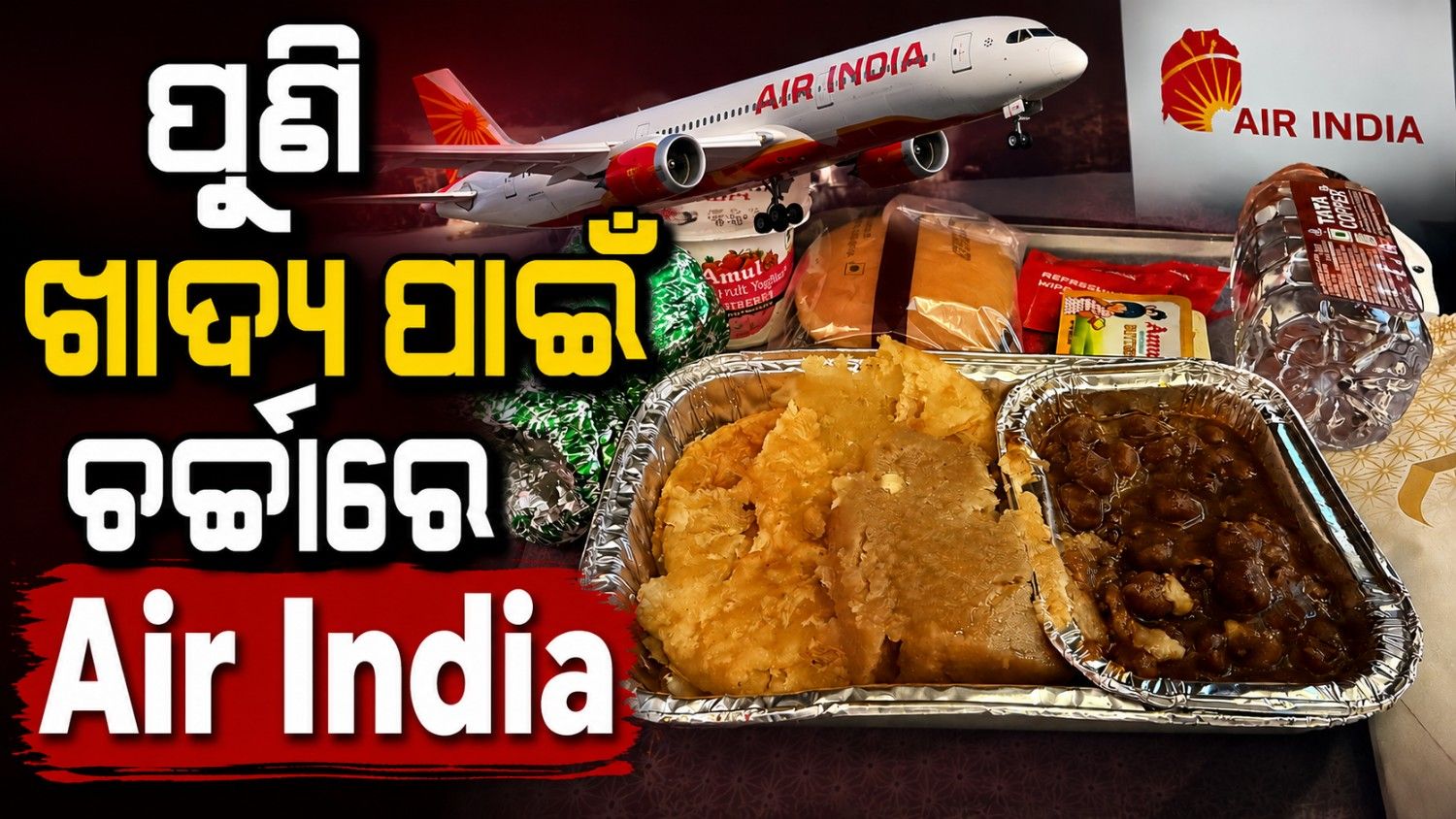 ପୁଣି ଖାଦ୍ୟ ପାଇଁ ଚର୍ଚ୍ଚାରେ ଏୟାର ଇଣ୍ଡିଆ; ଯାତ୍ରୀ କହିଲେ ଏୟାରଲାଇନ୍ସ ଯୋଗାଇଲା ଅନ୍ନଛତ୍ର