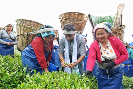 Scindia Showcases PM Modi’s ‘Vocal for Local’ Vision at Temi Tea Estate