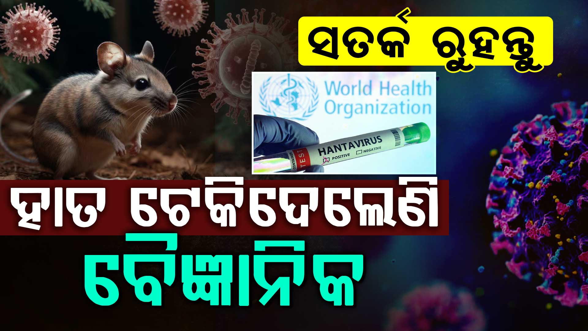 ଜାହାଜରେ ମାଡ଼ି ଆସୁଛି ମୃତ୍ୟୁ; ହନ୍ତା ଭାଇରସର ଟେର ପାଉନି WHO