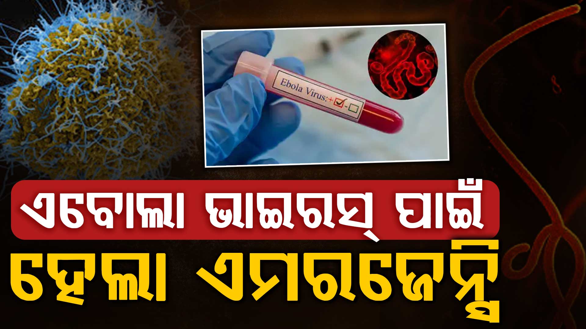 ଦ୍ରୁତ ଗତିରେ ବ୍ୟାପୁଛି ଏବୋଲା ଭାଇରସ,କୌଣସି ଔଷଧ କିମ୍ବା ଟିକା ସହଜରେ ଉପଲବ୍ଧ ନାହିଁ 