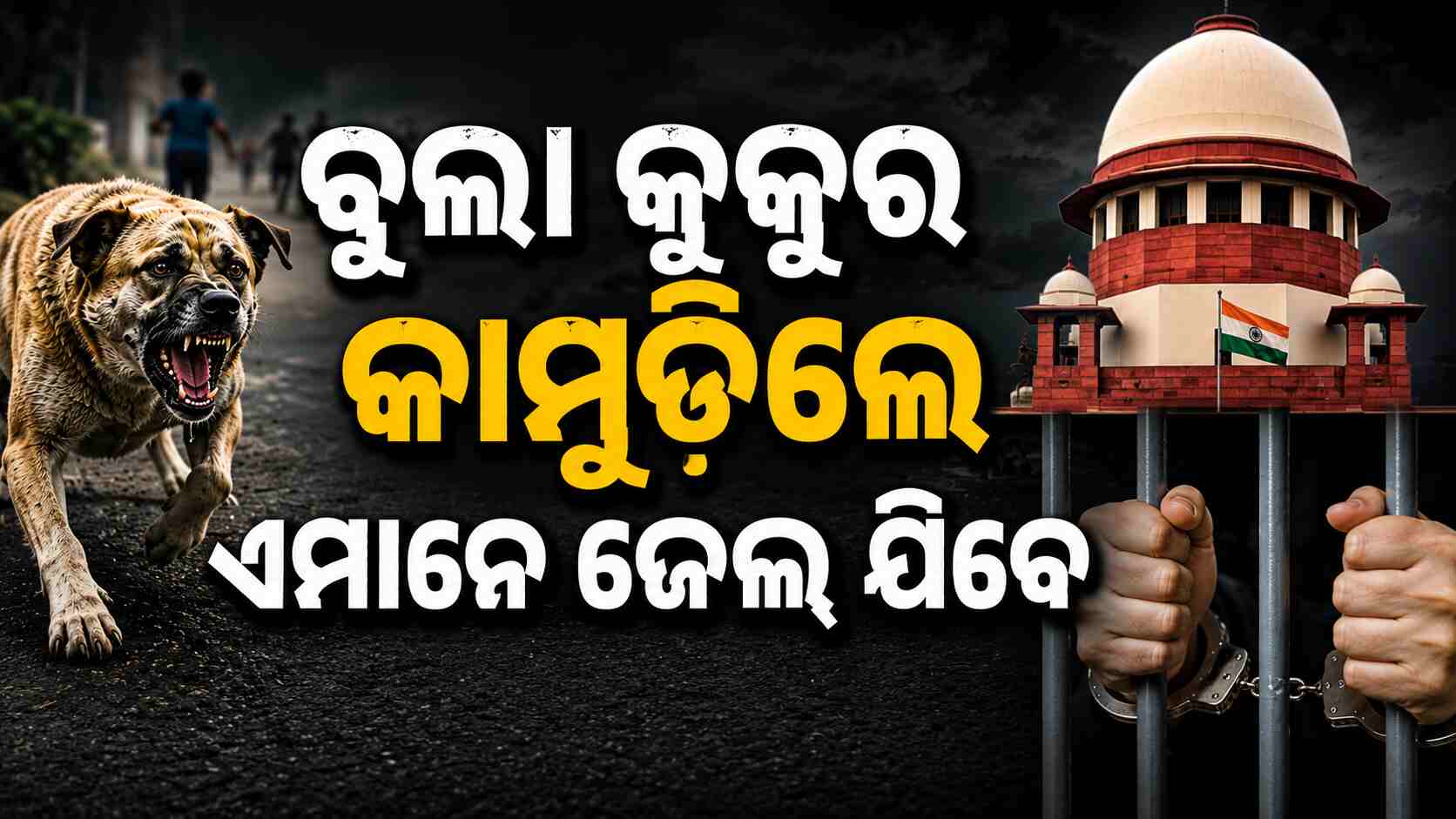 ବୁଲା କୁକୁରଙ୍କୁ ନେଇ ସୁପ୍ରିମକୋର୍ଟଙ୍କ ବଡ଼ ରାୟ 