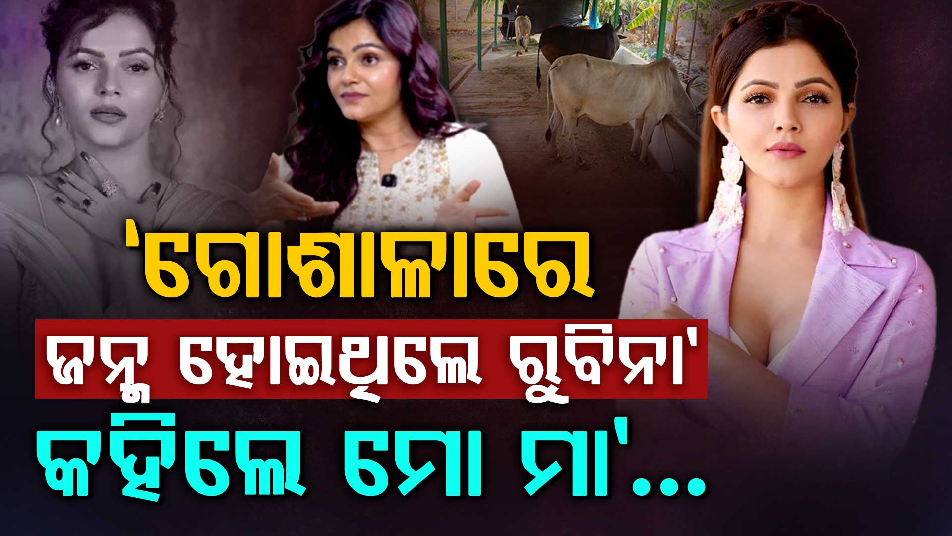 ଅଭିନେତ୍ରୀଙ୍କ ଖୁଲାସା: କହିଲେ, ଏହି କାରଣ ପାଇଁ ଗୋଶାଳାରେ ଜନ୍ମ ଦେଇଥିଲେ ମା'