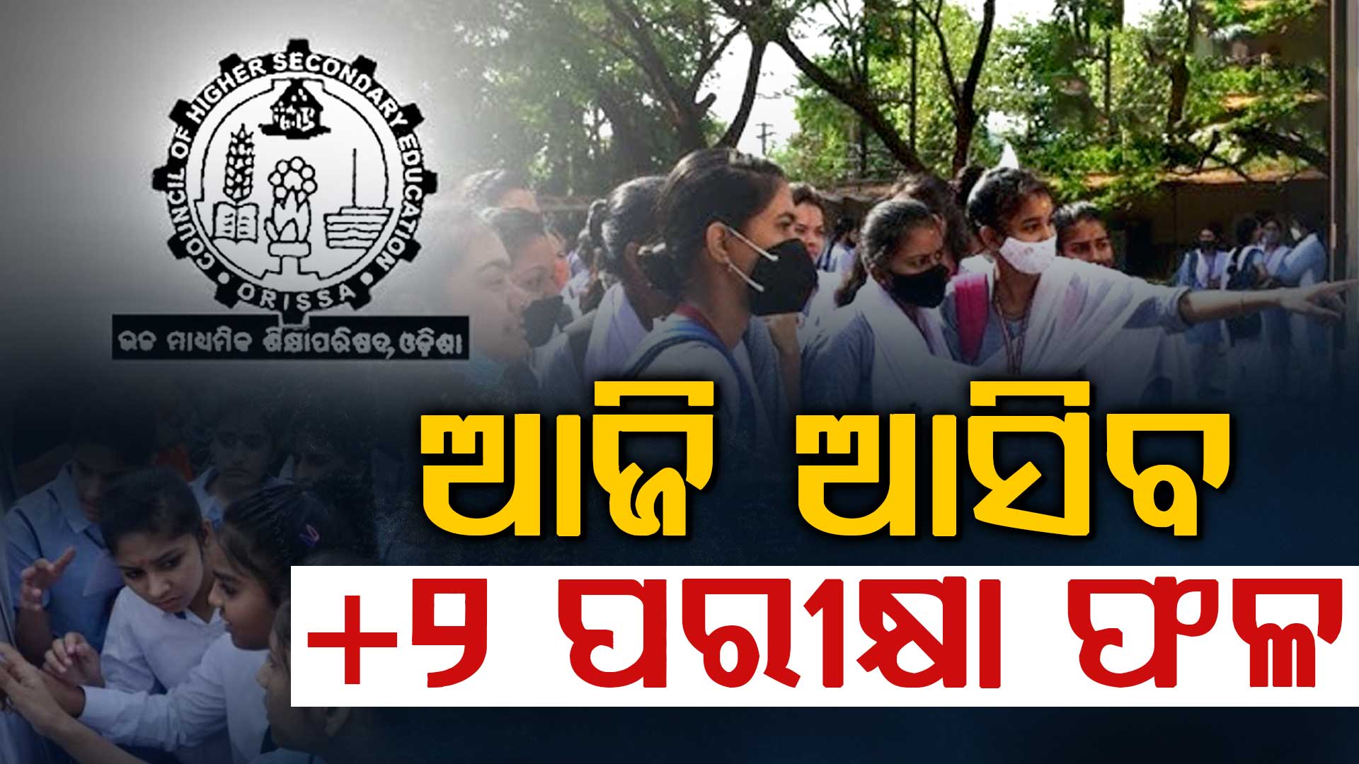 ଆଜି ଆସିବ  +୨ ପରୀକ୍ଷା ଫଳ... ଏହି  ୱେବ୍‌ସାଇଟ୍ ଜାଣନ୍ତୁ ରେଜଲ୍ଟ 