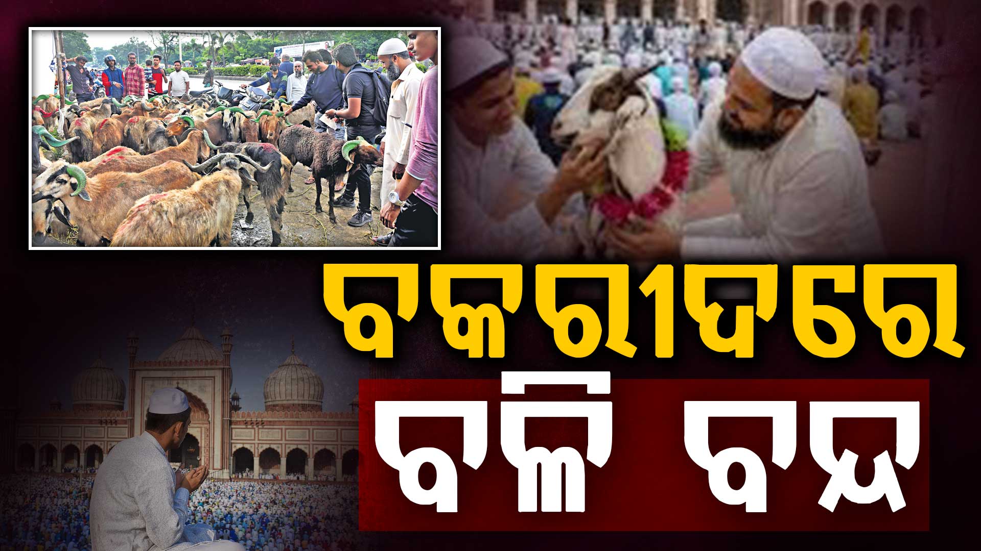 ବକରୀଦ ପାଇଁ ଦିଲ୍ଲୀ ସରକାରର ନୂତନ ନିର୍ଦ୍ଦେଶାବଳୀ, ଅବମାନନା କଲେ ଜେଲ