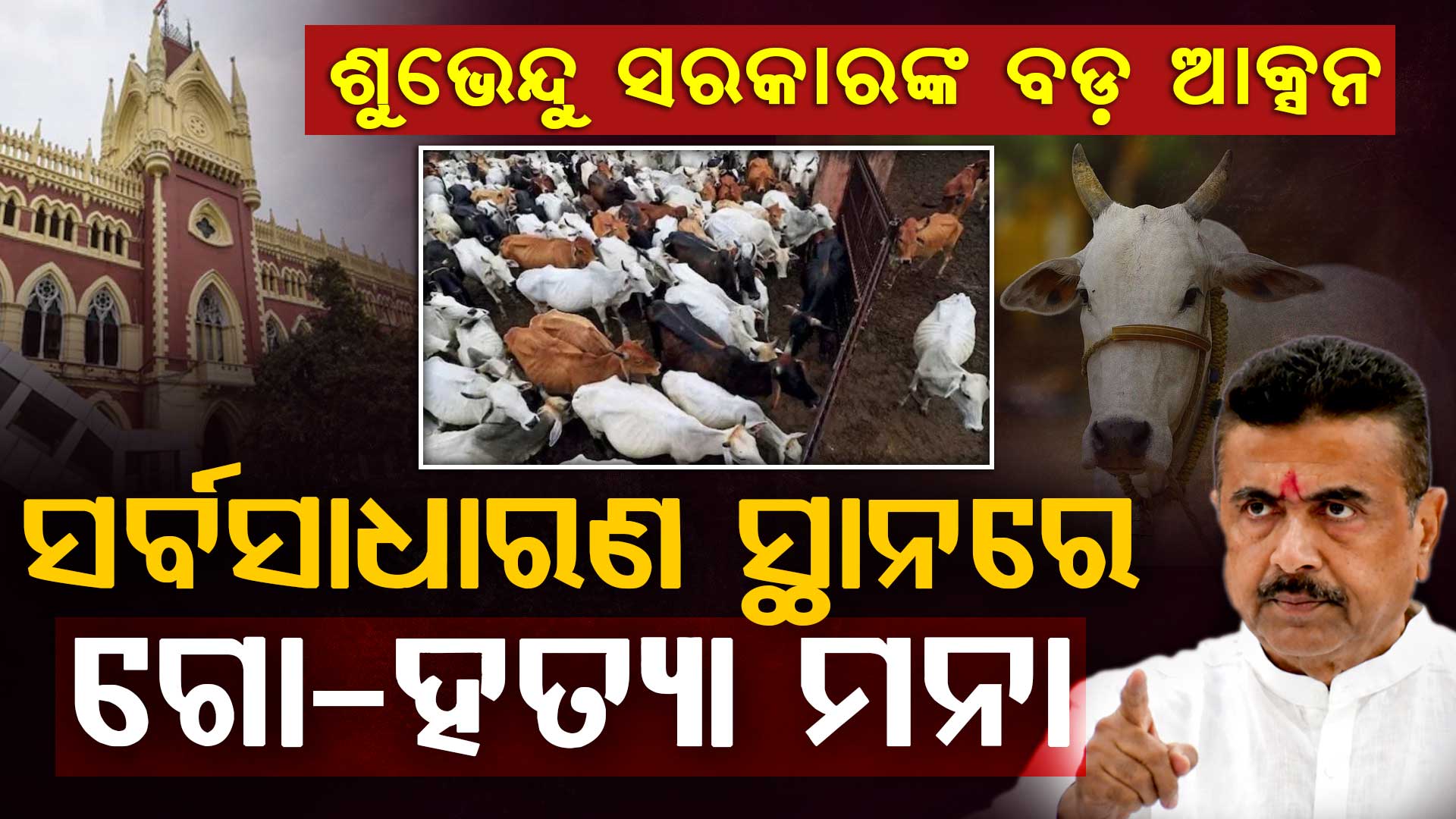 ଗୋହତ୍ୟା କଟକଣା ବିରୋଧରେ ଆବେଦନକୁ ଖାରଜ କଲେ ହାଇକୋର୍ଟ