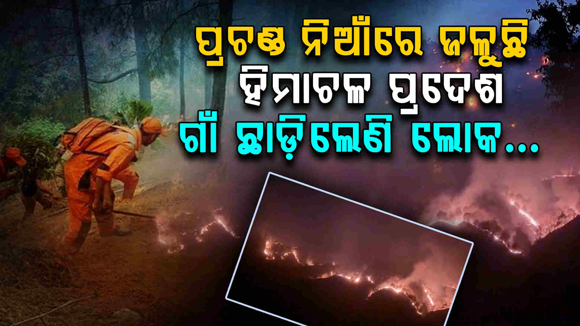 ଜଙ୍ଗଲ ଭିତରେ ହୁତୁ ହୁତୁ ହୋଇ ଜଳୁଛି ନିଆଁ: ଭୟରେ ଗାଁ ଛାଡ଼ିଲେଣି ଲୋକ