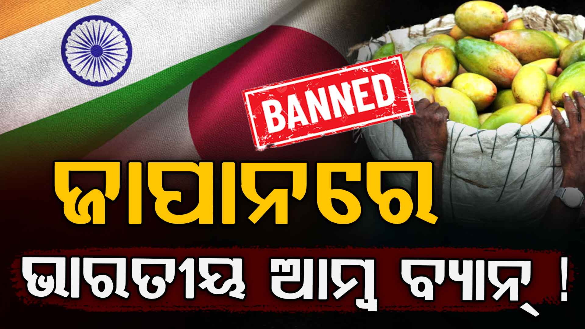 ଜାପାନରେ ଭାରତୀୟ ଆମ୍ୱ ମନା: ୨୦ ବର୍ଷ ପରେ ପୁଣି ଥରେ ବ୍ୟାନ କଲା ଜାପାନ...