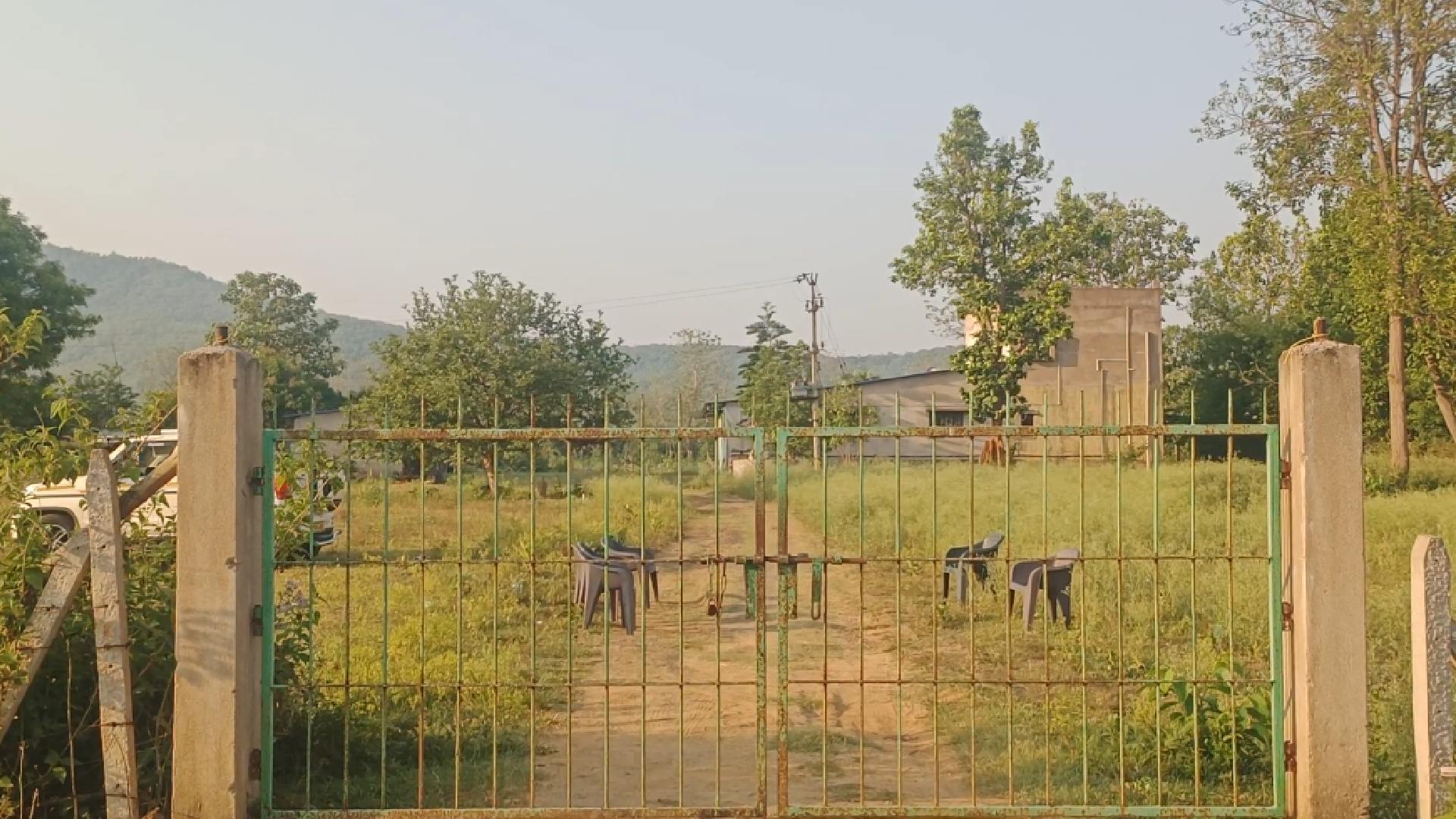 Was Elephant Killed and Buried Inside Charanpur Farmhouse? Odisha Forest Department Begins Probe