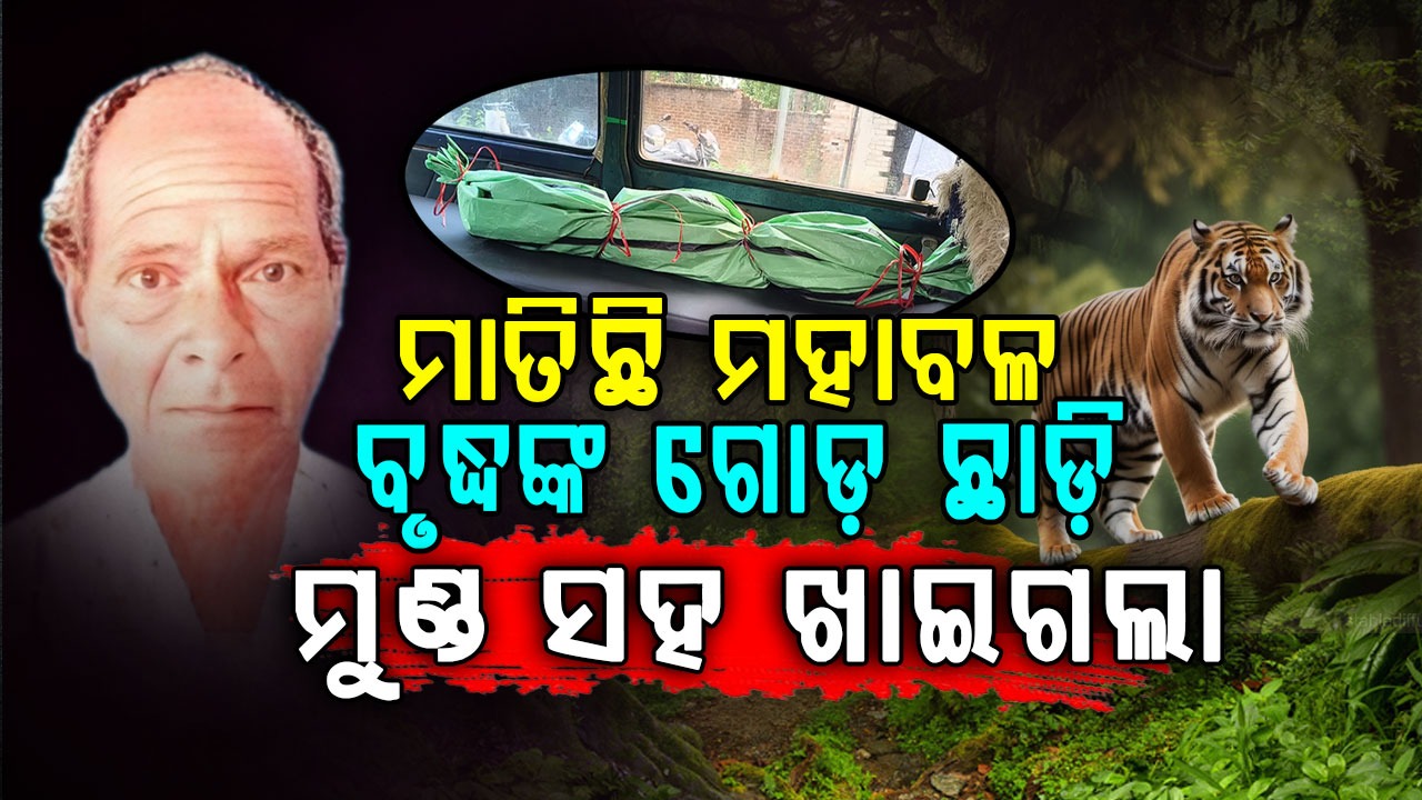 ସାବଧାନ ମାତିଛି ମହାବଳ; ଦୁଇଟି ଗୋଡ଼କୁ ଛାଡ଼ି ମୁଣ୍ଡ ସହ ଖାଇଗଲା