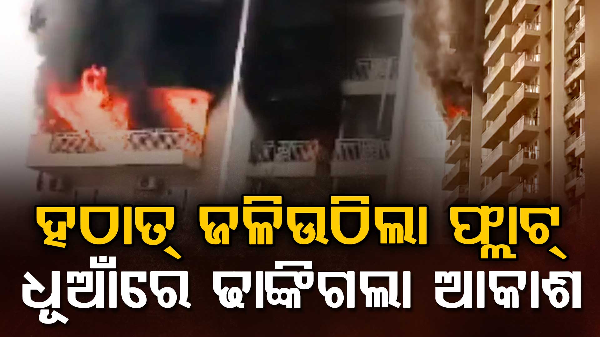 ସେକ୍ଟର ୭୪ ସ୍ଥିତ IVY କାଉଣ୍ଟି ସୋସାଇଟିରେ ଭୟଙ୍କର ଅଗ୍ନିକାଣ୍ଡ 
