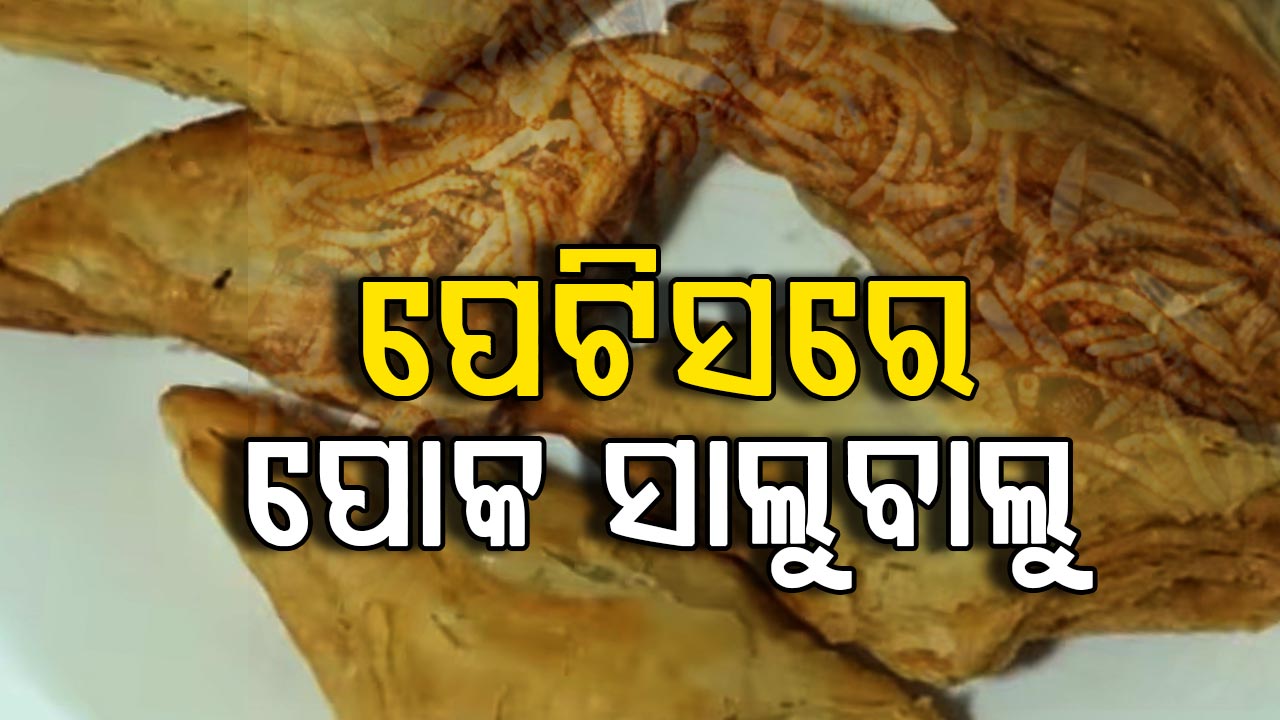 ପେଟିସ୍ ଭିତରୁ ବାହାରିଲା ଜୀଅନ୍ତା ପୋକ…ଫେମସ୍ ଫୁଡ୍ ଆଉଟଲେଟ୍ରେ ଚଢ଼ାଉ କଲା FSDA