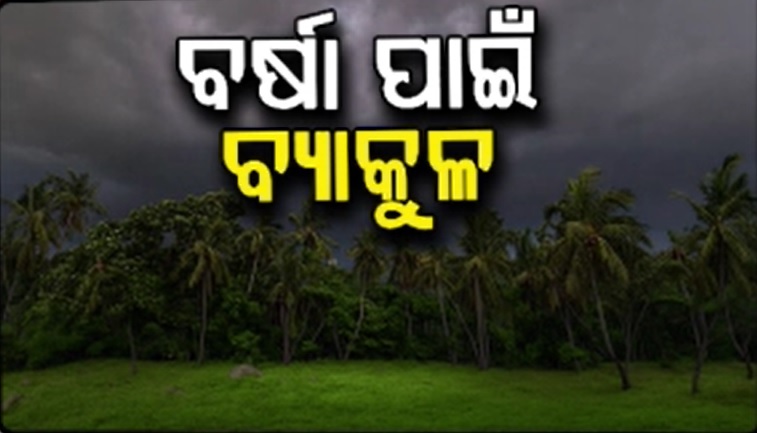 ଜୁନ୍ରେ ପ୍ରବଳ ଖରା ସାଙ୍ଗକୁ ଅସହ୍ୟ ଗୁଳୁଗୁଳି, ବର୍ଷା ଅଭାବରୁ ଆଗେଇ ପାରୁନି ଚାଷ କାମ