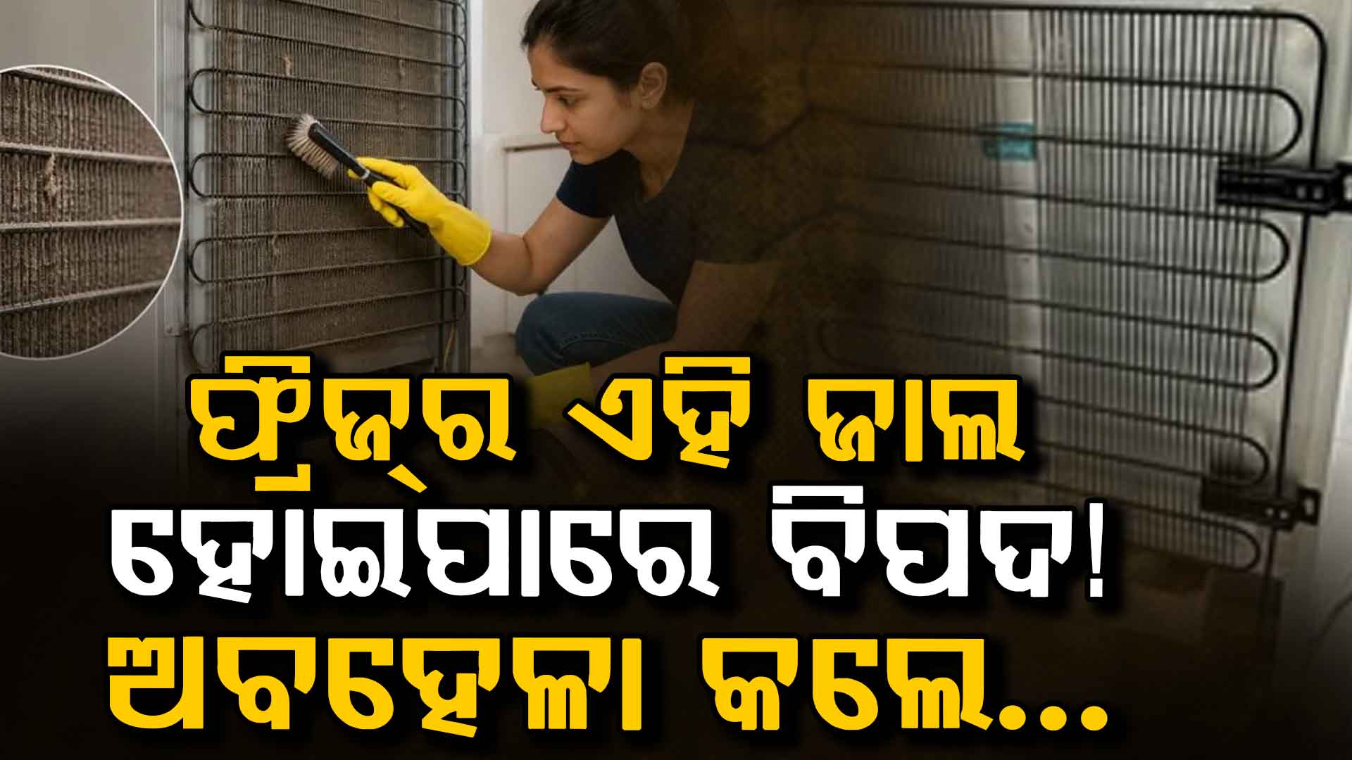 ଫ୍ରିଜର ପଛ ଗ୍ରୀଲକୁ କେତେଥର ସଫା କରିବା ଉଚିତ ଜାଣିରଖନ୍ତୁ?....ନଚେତ୍