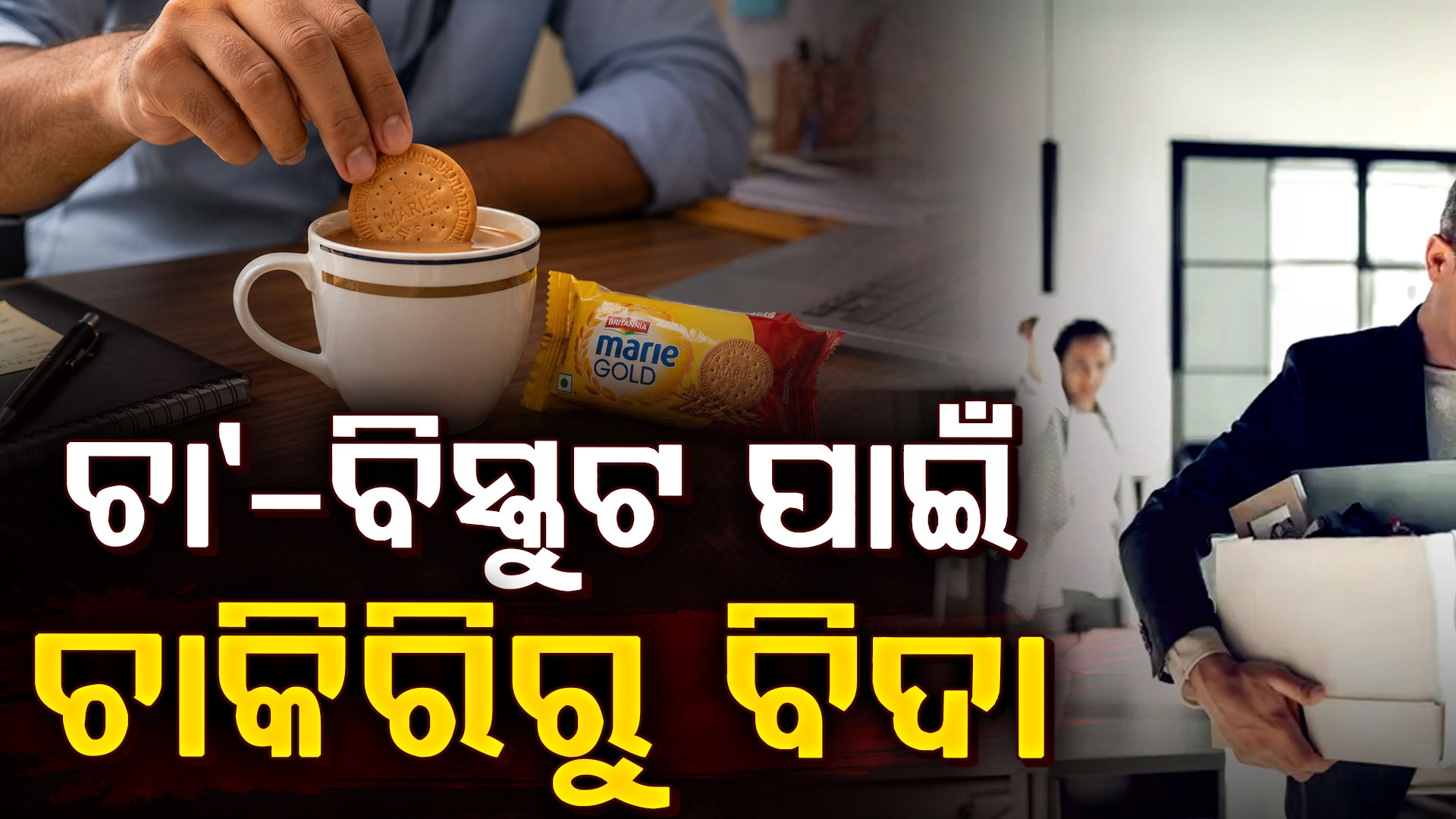 ଅଫିସରୁ ଚା’ପତି ଚୋରି କରି ଘରକୁ ନେଲେ…୧୭ବର୍ଷର ଚାକିରି ହରାଇଲେ