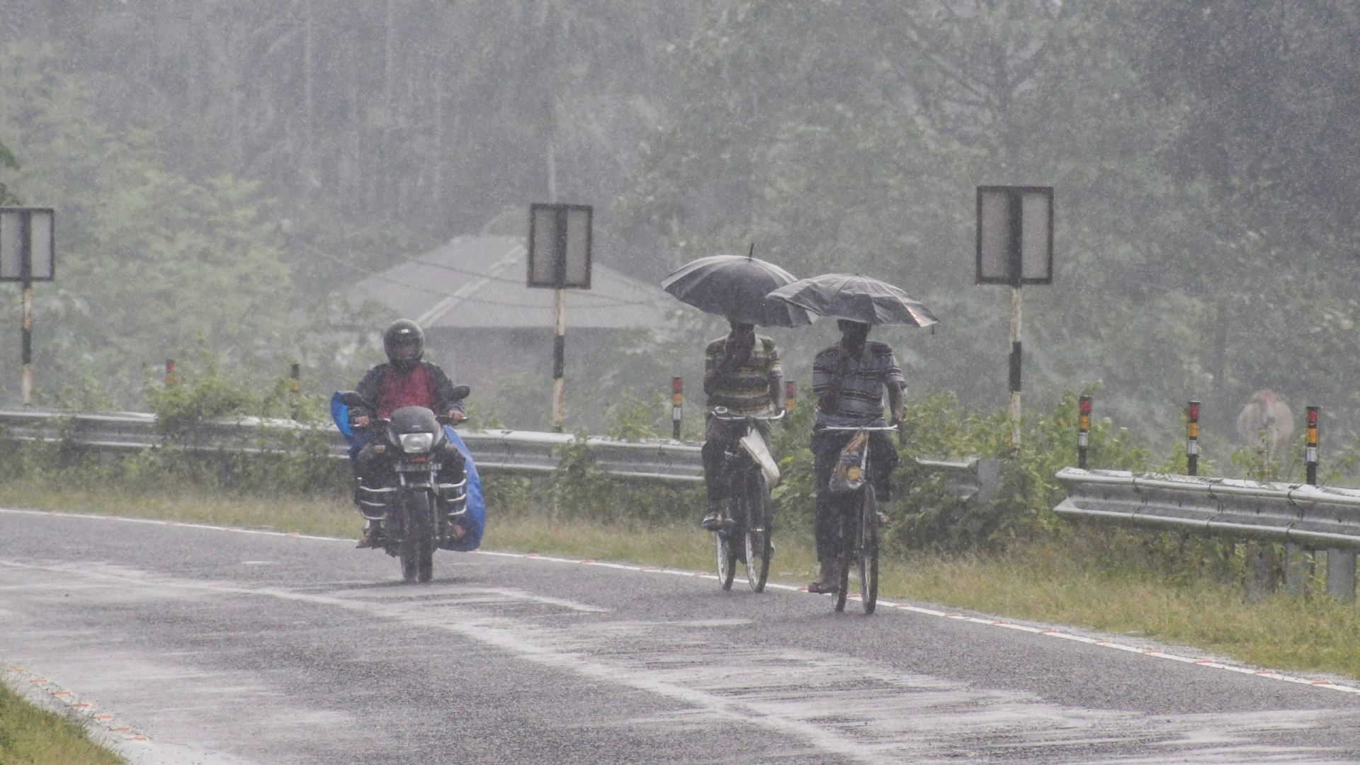 Low-Pressure System Triggers Heavy Rain across Odisha