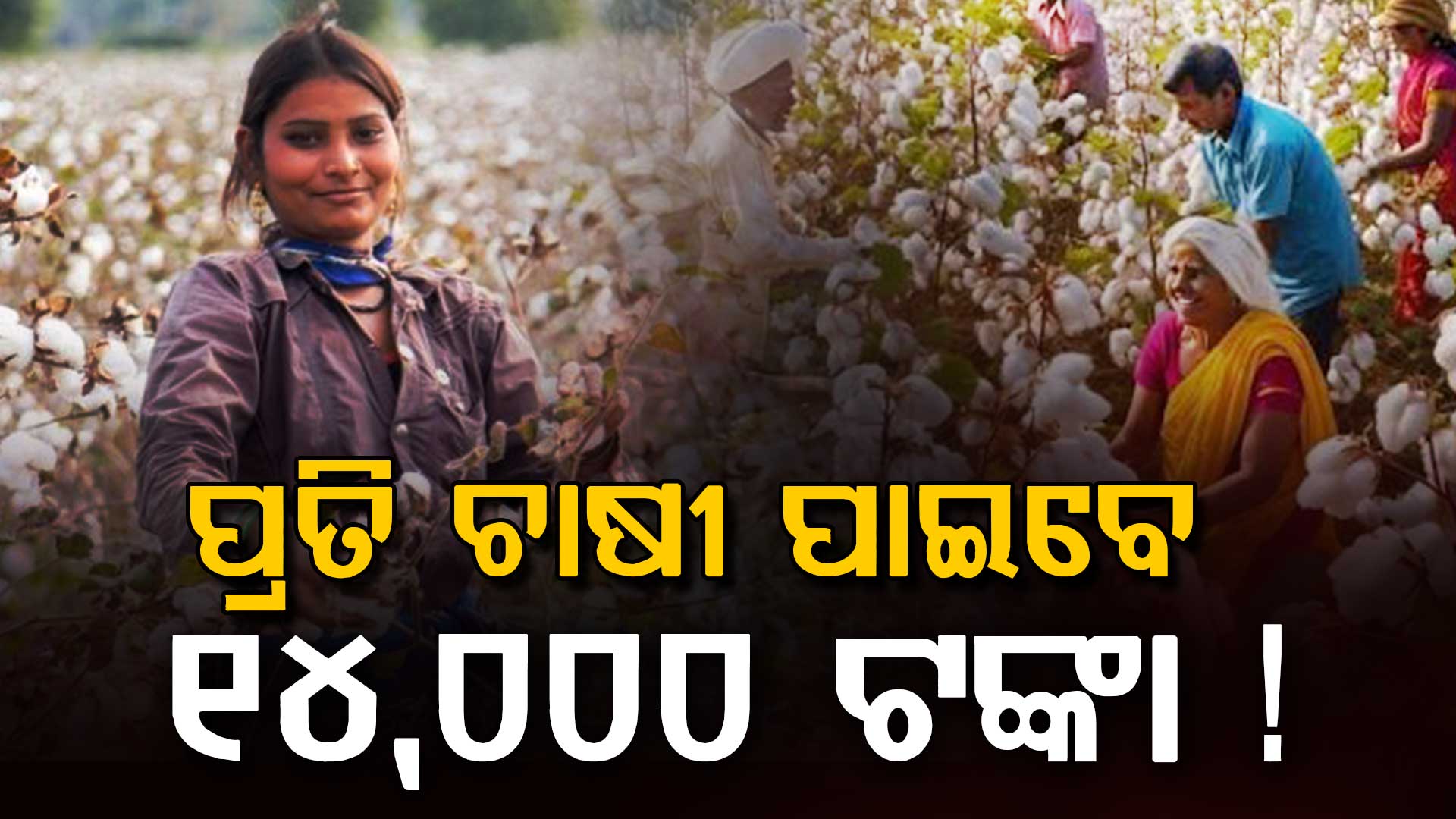 ସରକାରଙ୍କ ବଡ଼ ଘୋଷଣା: ଏହି ଚାଷୀମାନେ ପାଇବେ ୧୪,୦୦୦ ସହାୟତା, ଏବେ କରନ୍ତୁ ଆବେଦନ