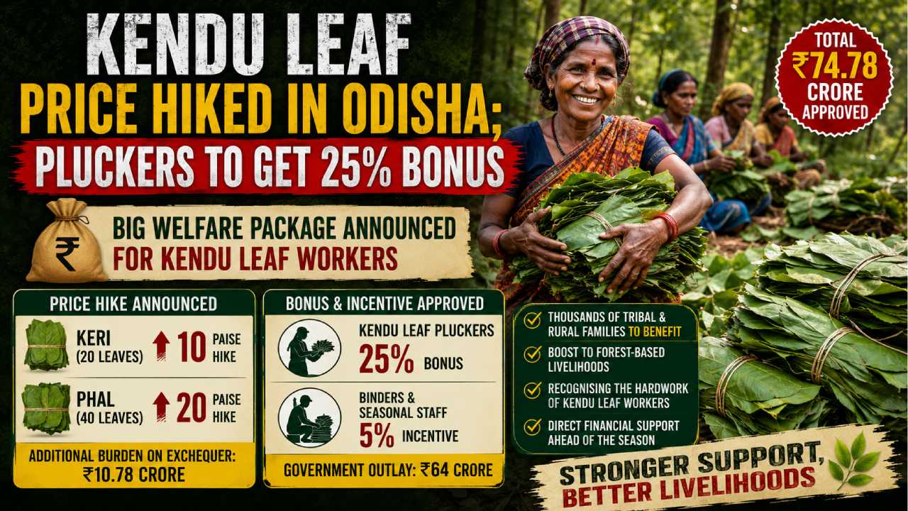 Kendu Leaf Price Hiked in Odisha; Pluckers to Get 25% Bonus