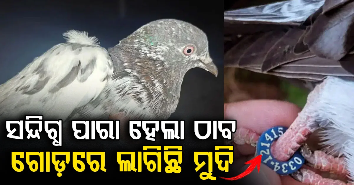 ସାମ୍ବାରେ ସନ୍ଦେହଜନକ ପାରା: ଗୋଡରେ ମୁଦି, ଉର୍ଦ୍ଦୁ ଏବଂ ପାକିସ୍ତାନୀରେ ଲେଖାଯାଇଥିବା ନୋଟ୍